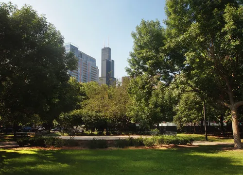 Willis Tower rises behind the park's tree canopy