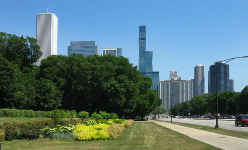 Yellow flowers bloom along the park's east edge with Chicago skyline views