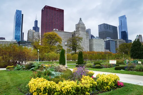 Colorful flowers bloom with Chicago's skyline as backdrop