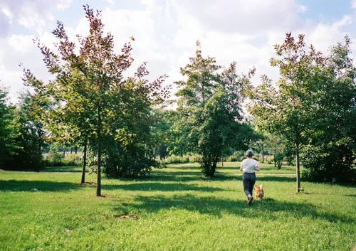Flowering trees dot the expansive green sections in springtime