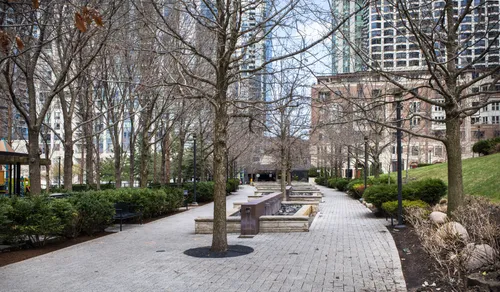 A wide walkway lined with trees in the southeast section of the park