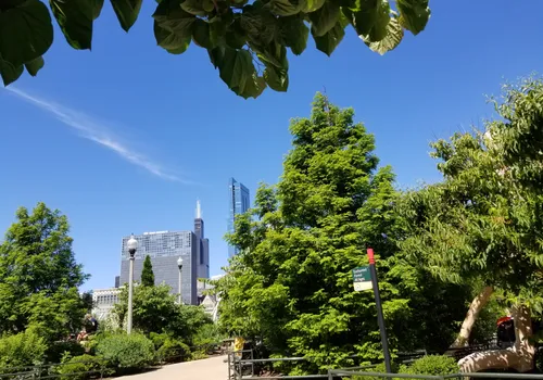 Downtown Chicago towers peek through the trees