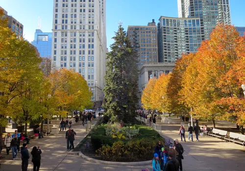 A large Christmas tree stands in the park