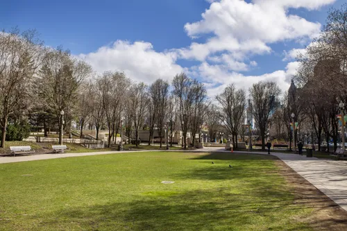 Wrigley Square's open green space and trees in the northwest corner of the park