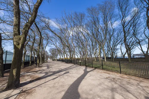 Bare trees line the promenade on a clear winter day