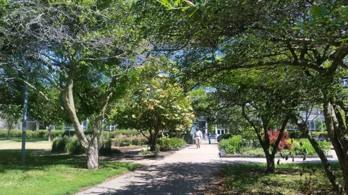 Partially shaded walkways guide visitors through the park