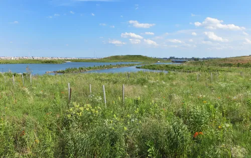 Wildflowers and native grasses flourish in the park's natural areas