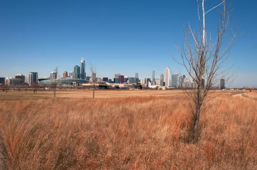 Prairie grasses frame a distant view of the Chicago skyline