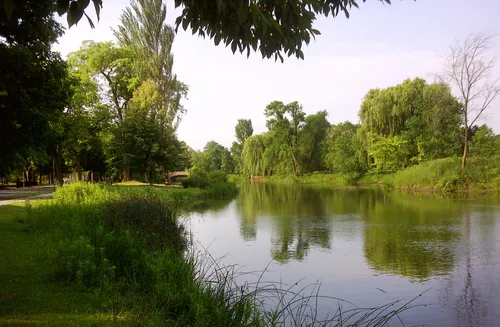The lagoon opens into a wider basin framed by mature willows and cottonwoods