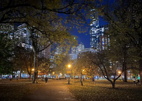 Nighttime view of the illuminated park paths under the tree canopy