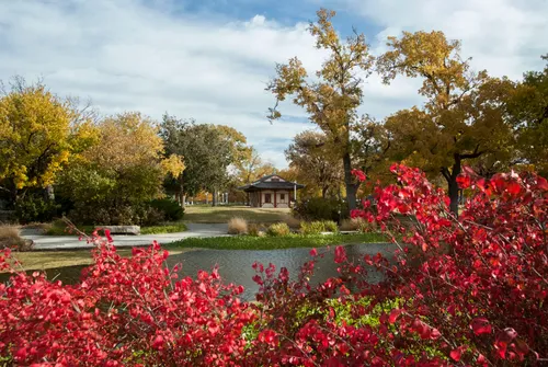 Red foliage in the southwest section with the pagoda in the background