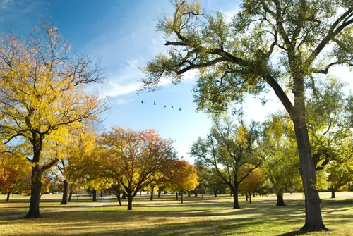 Autumn trees are scattered across the expansive lawn areas