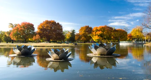View of the park's central pond on a quiet afternoon
