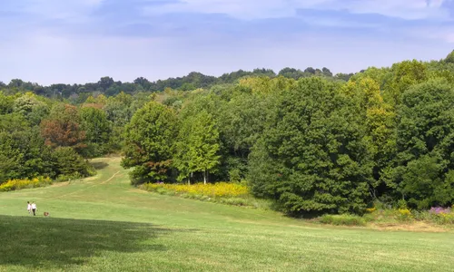 Rolling green meadows stretch toward the tree line on a clear summer day