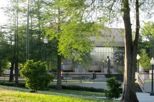 Late afternoon in the park