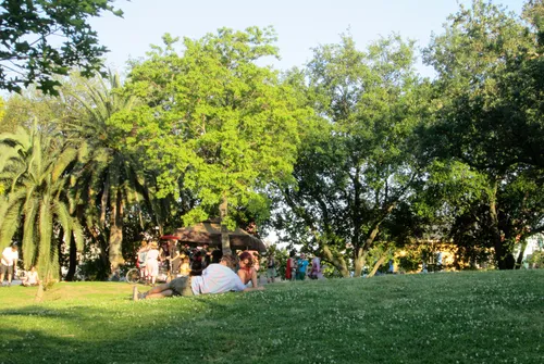 Visitors relaxing on the grassy area surrounded by trees