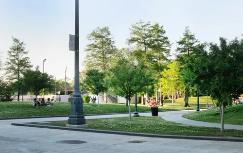 A shaded walkway through greenery