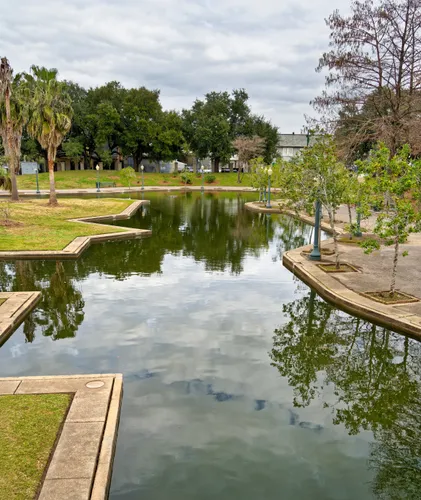 Looking along a section of the pond