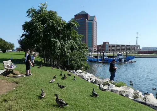 Visitors feeding ducks along the grassy shore of Patapsco River