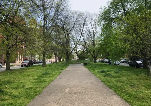 A central tree-lined path runs through the median park along Eutaw Place