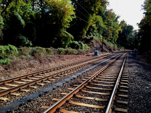 Railroad tracks run through the woods along Lake Roland