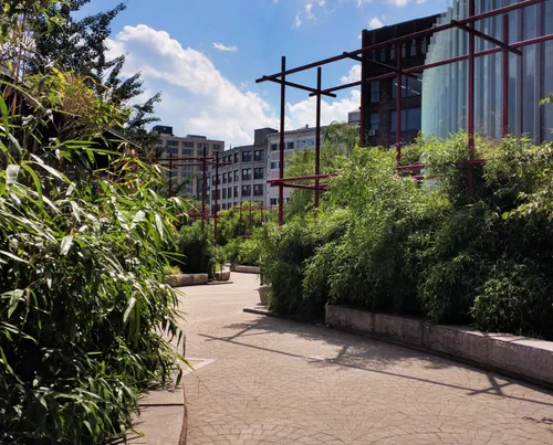 A bamboo-lined path winds through the park