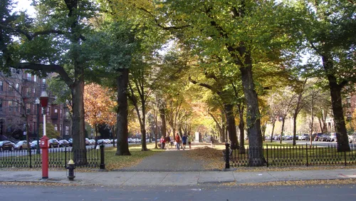 The tree-lined pathway through Commonwealth Avenue Mall in autumn