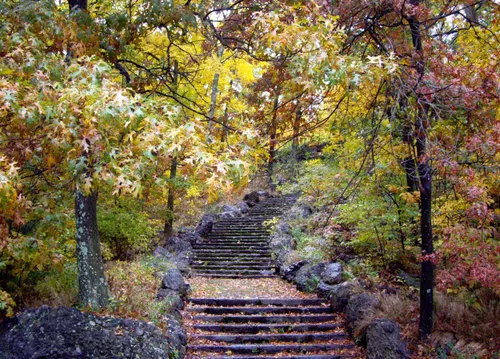 Stone steps leading up through fall foliage near Circuit Dr