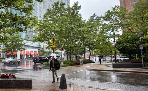 The southern tip of the park is bordered by Congress Street