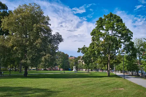 Sunlit green lawn area of Cambridge Common with mature trees