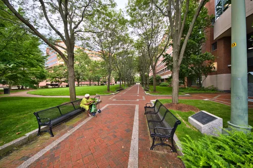 Brick pathway in the park lined with benches and greenery