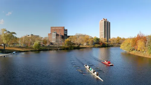 Rowing sculls glide along the Charles River