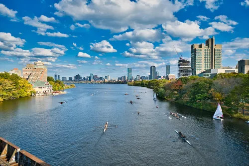 Rowers and sailboats dot the water with Boston's towers in background