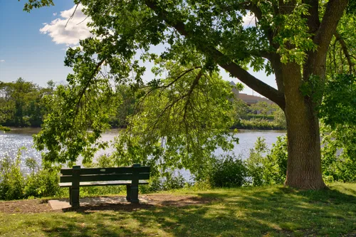 Shaded bench offers a peaceful spot to enjoy riverside views
