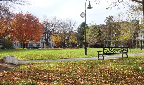 Autumn leaves blanket the ground around a bench in the park