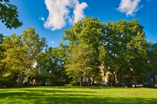 Tall trees frame the park's open grassy area under a blue sky