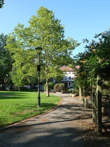 Pathway leads through the peaceful green space