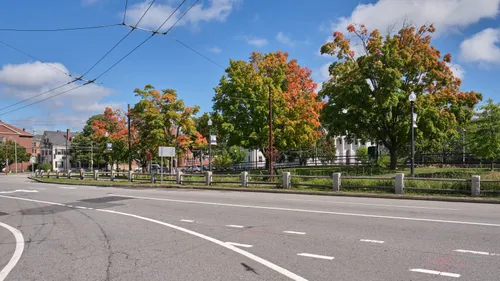 Trees with early fall colors in the park