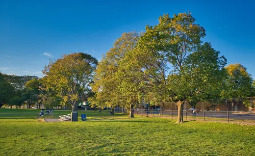 Mature trees along the park's perimeter
