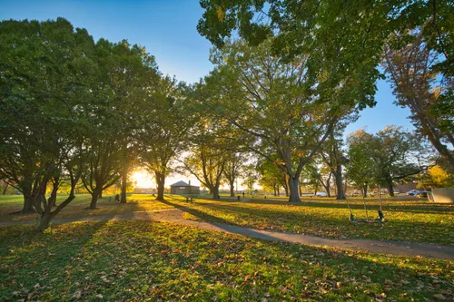 Warm evening light casts long shadows across the grass
