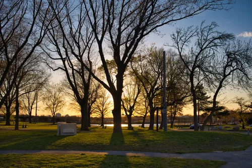 Sunset silhouetting trees inside the park