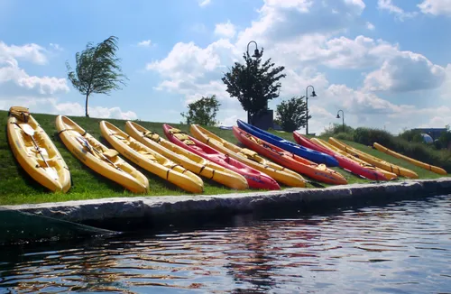 Kayaks lined up at the edge of the Charles River