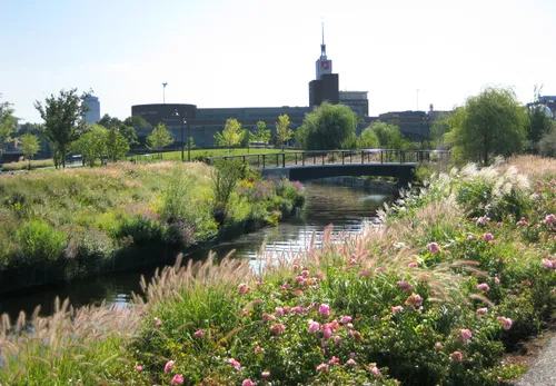 Flowering plants bloom along the curved canal