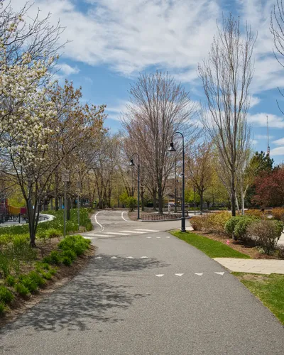 Tree-lined pathway through the park during early spring