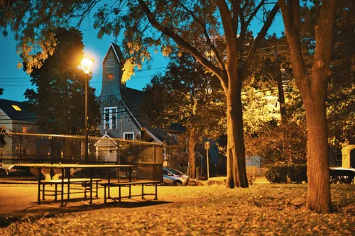 Park benches under trees illuminated by evening streetlights