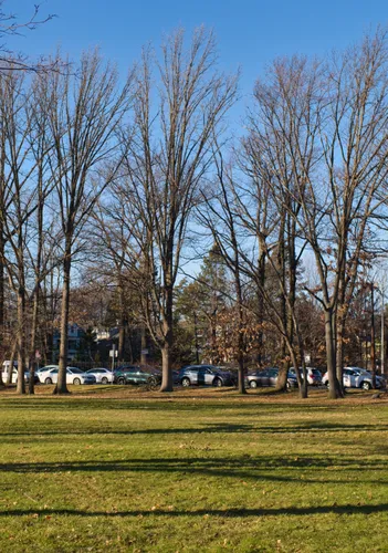 Bare winter trees line the edge of the open field