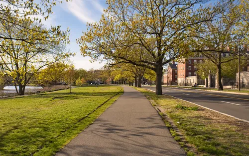 Pathway along Memorial Drive in autumn light