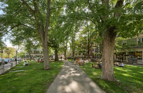 Visitors enjoying the shaded park grounds