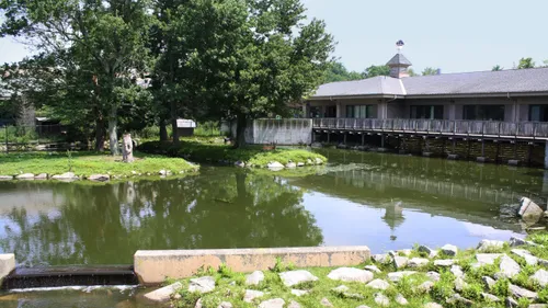 A pond and walkway near the entrance to Buttonwood Park Zoo