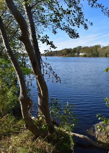 View of the Huron River through riverside trees